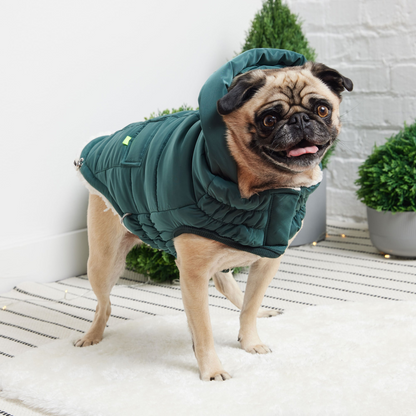 Super Puff Parka - Teal