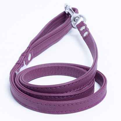 Alpine Leash