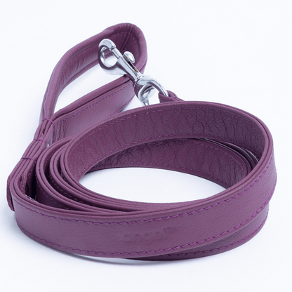 Alpine Leash