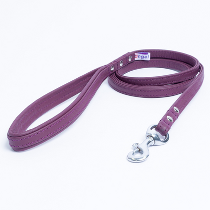 Alpine Leash