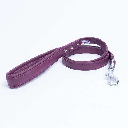 Alpine Leash