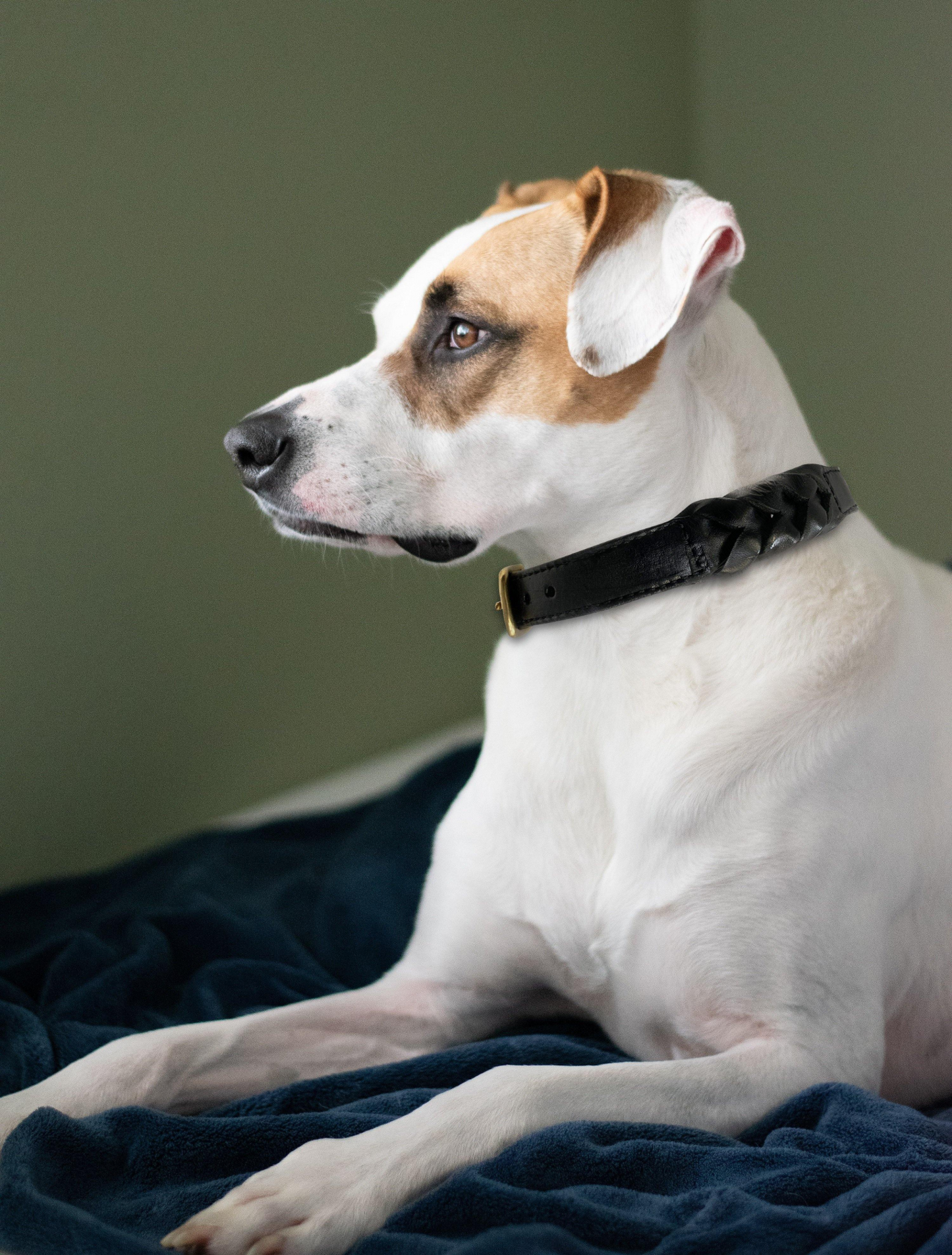 Braided Collar