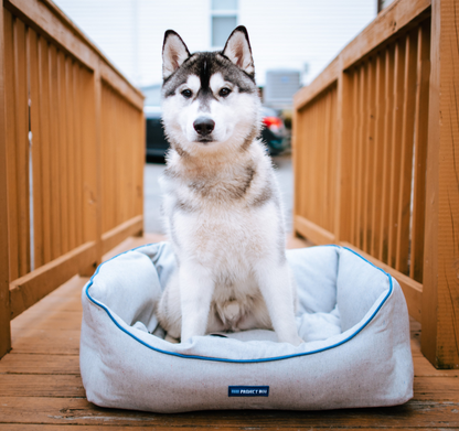 Bondi Eco-Fabric Bolster Dog Bed