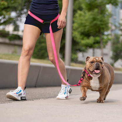 Reflective Leash - EEZY-6 - Neon Pink