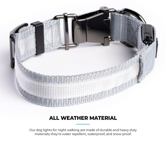 LED Dog Collar - Grey