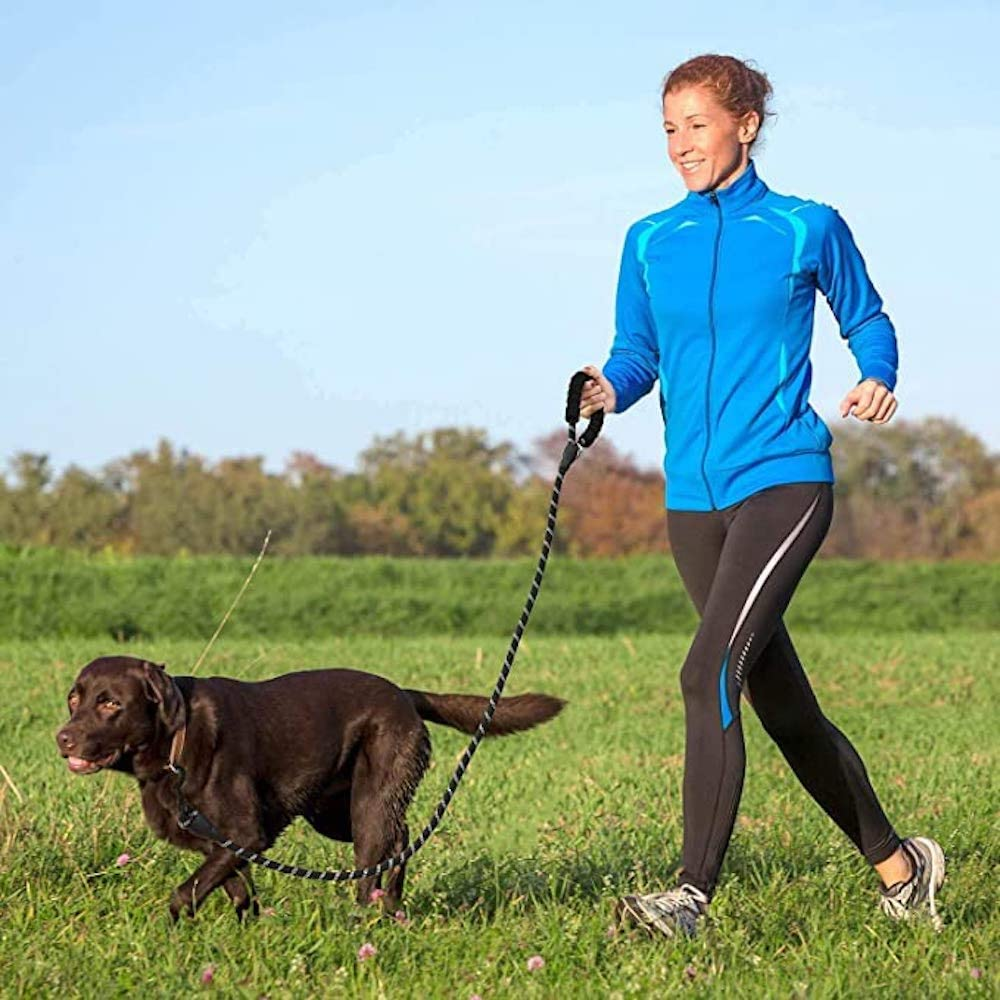 5 FT Thick Highly Reflective Dog Leash- Blue