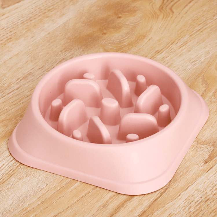 Dog Bowl Slow Feeder